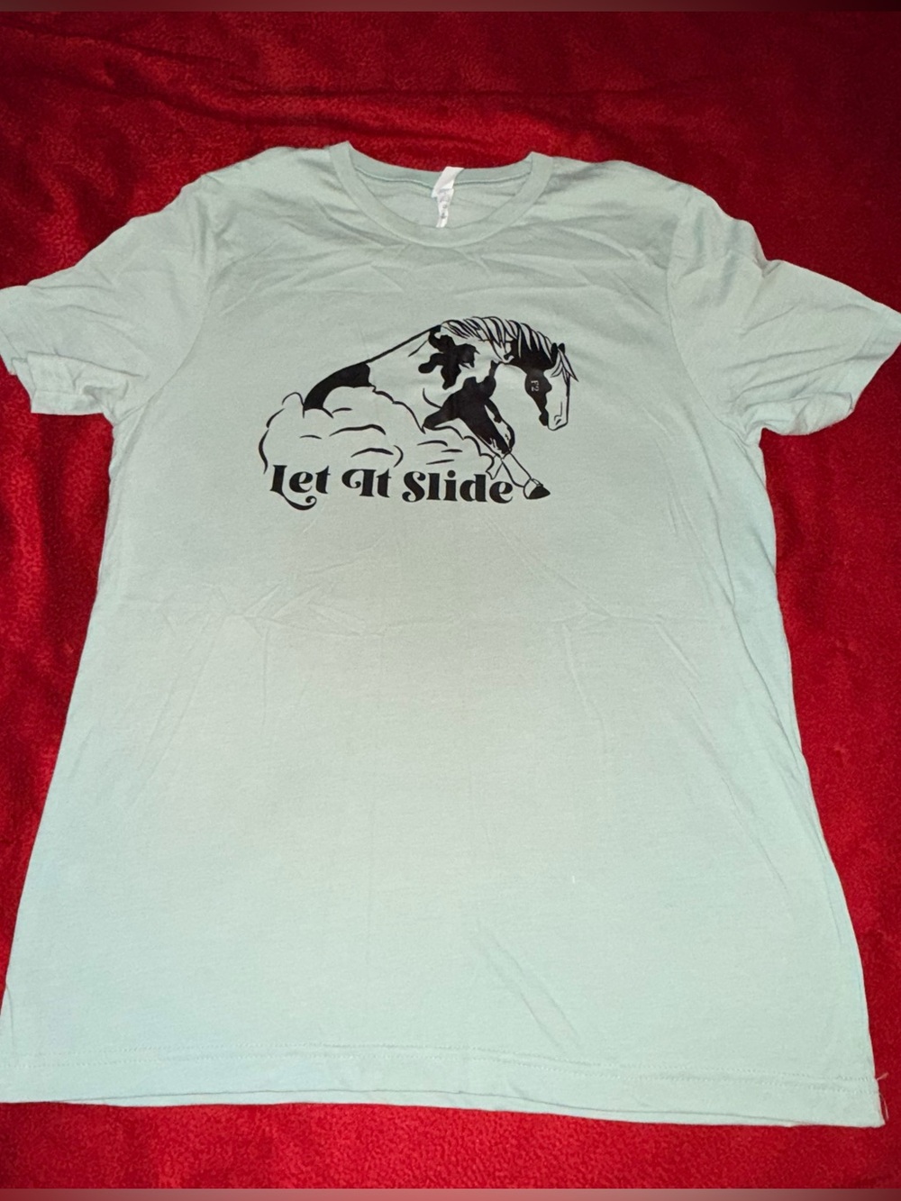 Bella Canvas Light Mint Green Men's Graphic Tee - Horse 'Let It Slide'